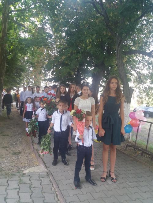 40749459_686173035088504_8128772322657042432_o